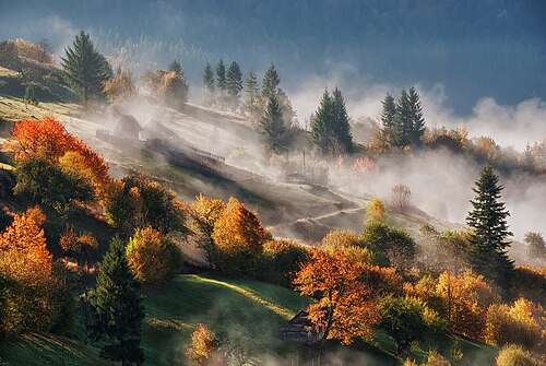 mist