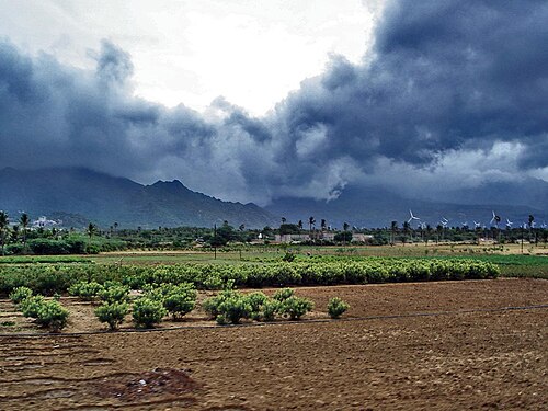 monsoon