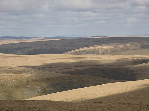 moorland