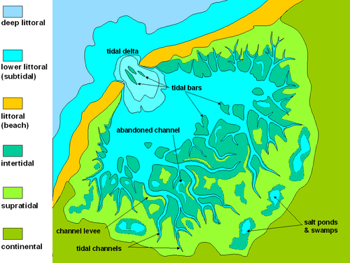 mudflat