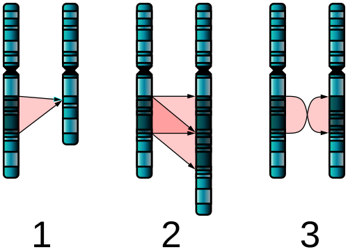 mutation