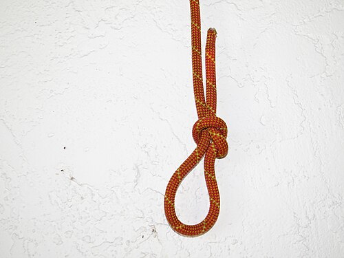 noose