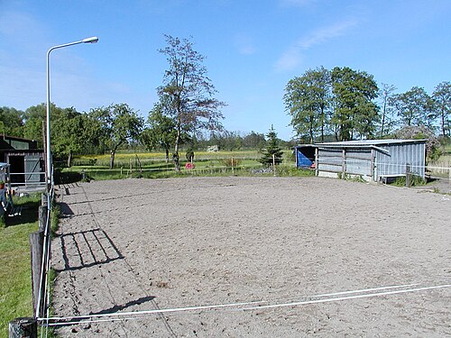 paddock