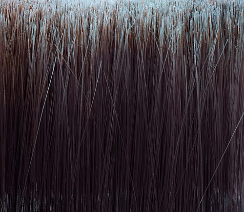 paintbrush