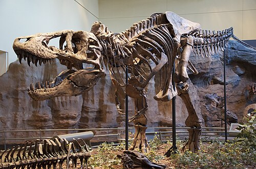 palaeontologist