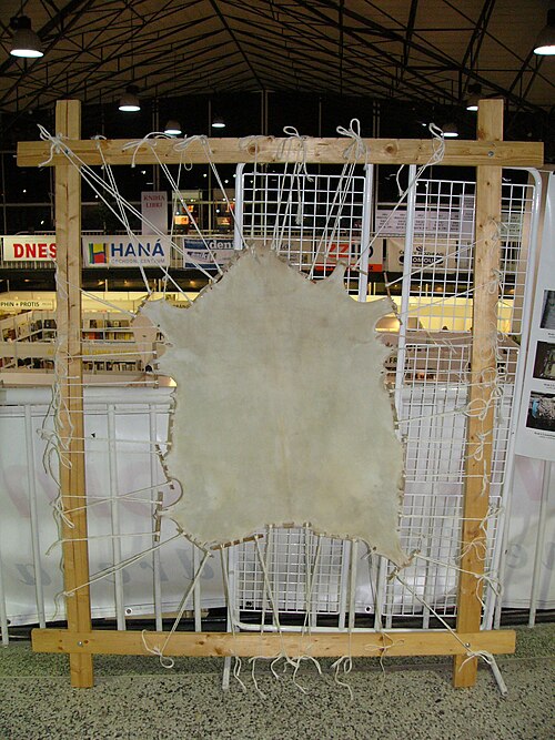 parchment