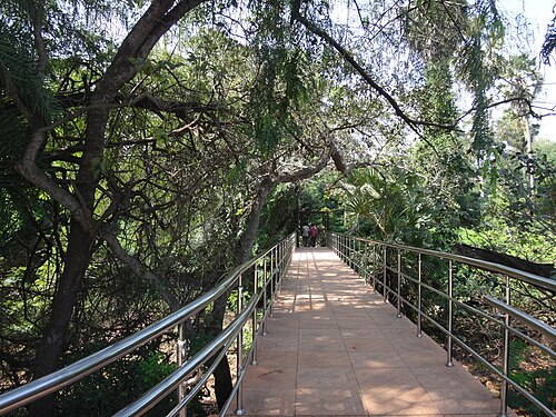 pathway