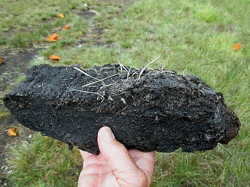 peat
