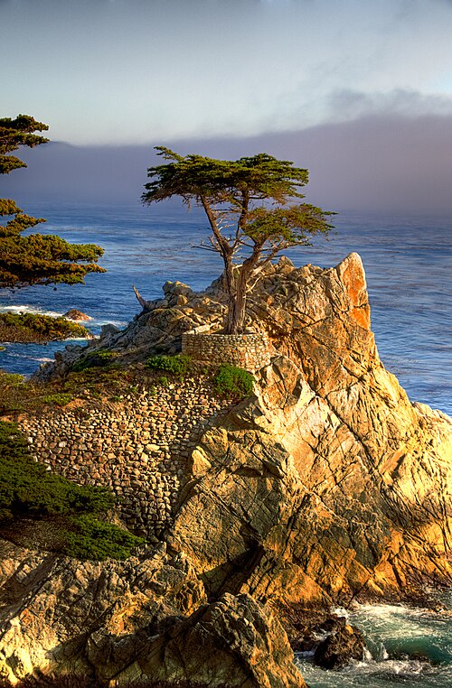 pebble beach