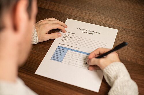 performance review