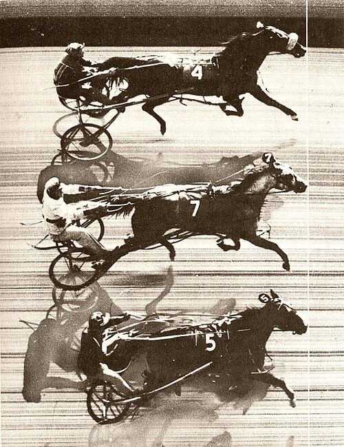 photo finish