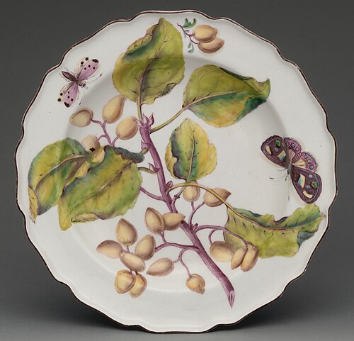 plate