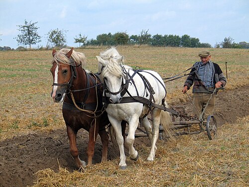 plough