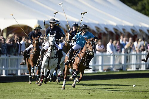 polo