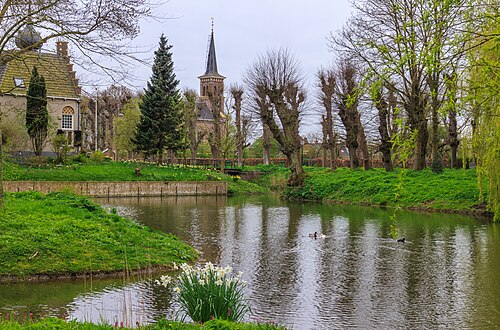 pond