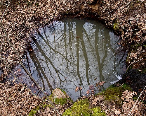 puddle
