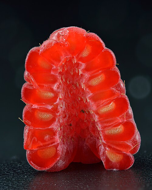 raspberry