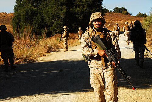 rearguard