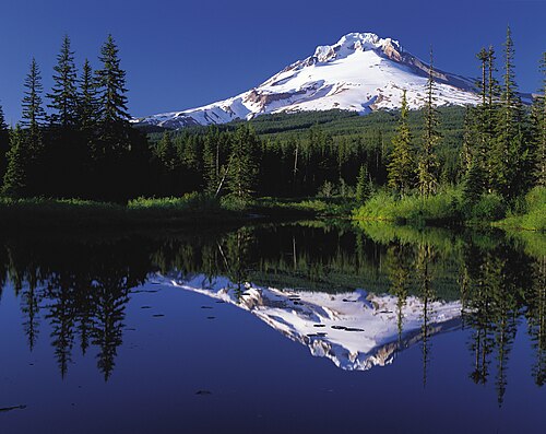 reflection