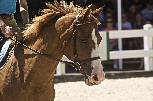 rein in