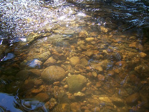 riverbed
