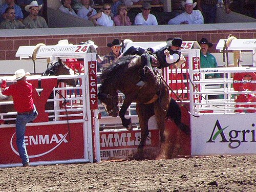 rodeo