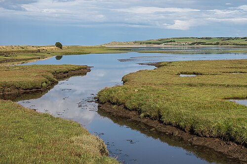 saltmarsh