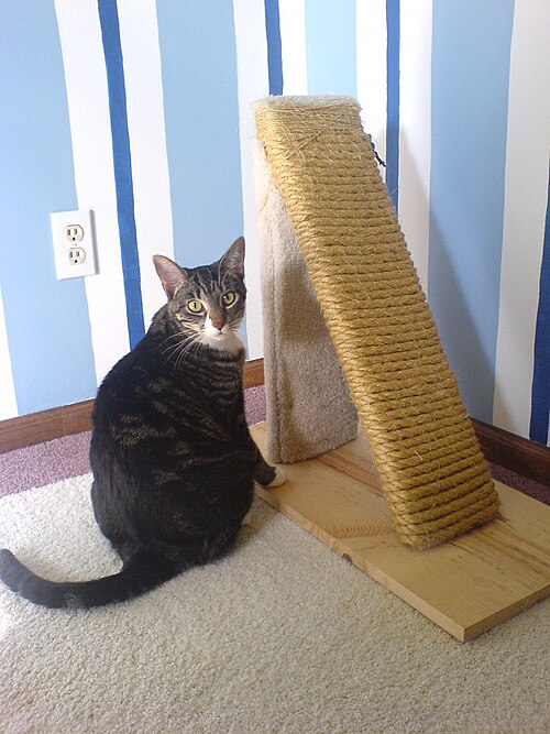scratching post