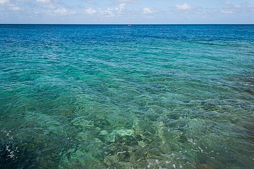 seawater