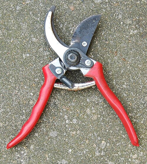 secateurs
