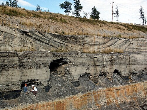 sedimentation