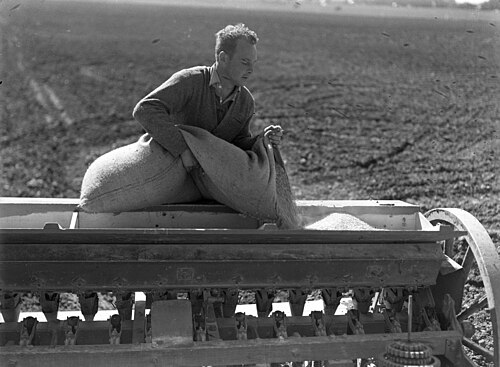 seed drill