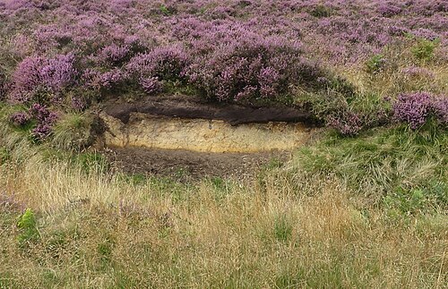 sheltered spot