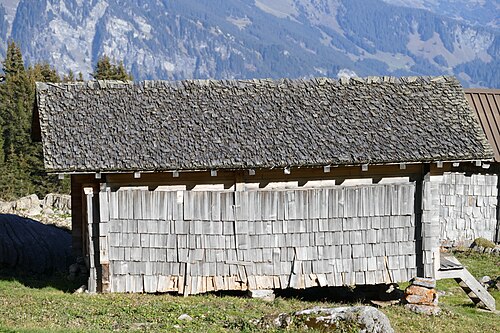 shingle