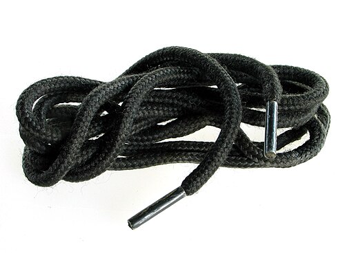 shoelace
