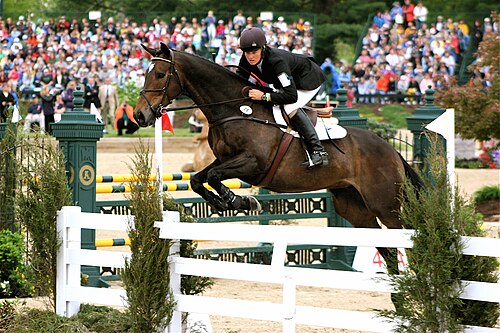 showjumping