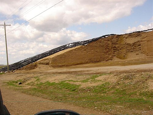 silage
