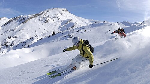 skier