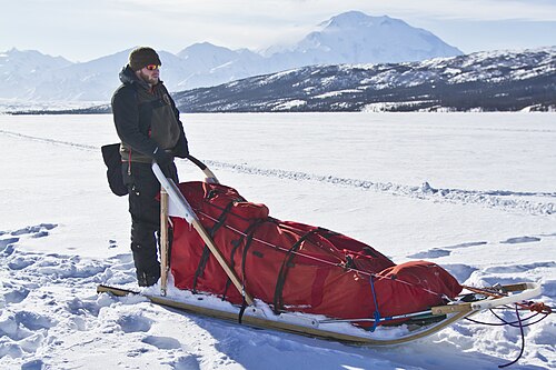 sled