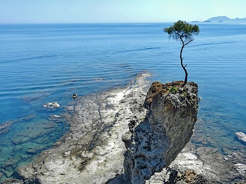 solitariness