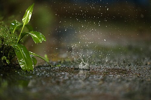 The sound and the scatter of water when something hits it.