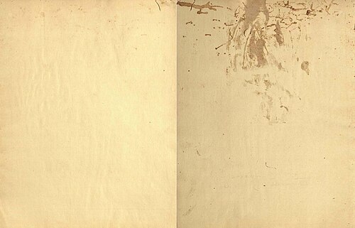 stain
