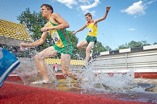 steeplechase