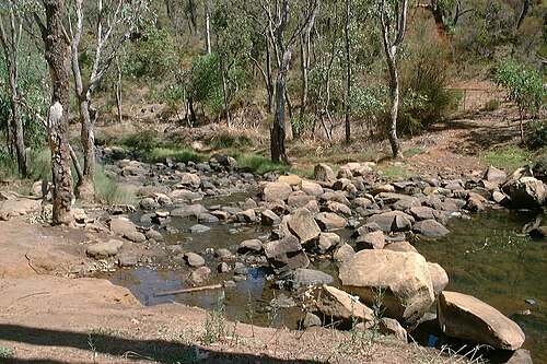 stepping stones