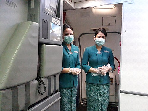 stewardess
