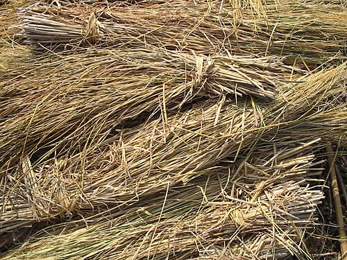 straw