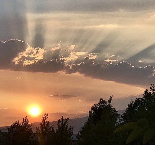 sunbeam