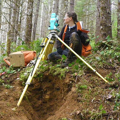 surveyor