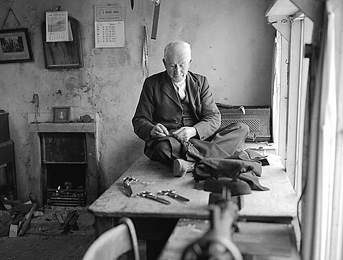 tailor