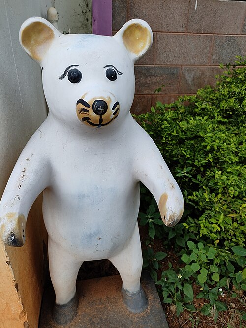 teddy